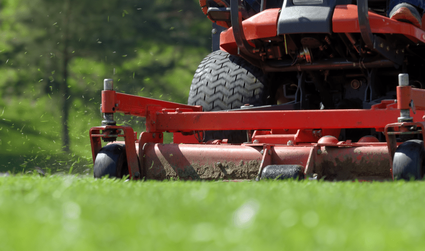 LAWN MOWING