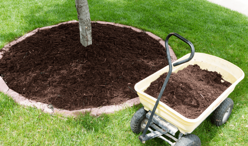 MULCHING